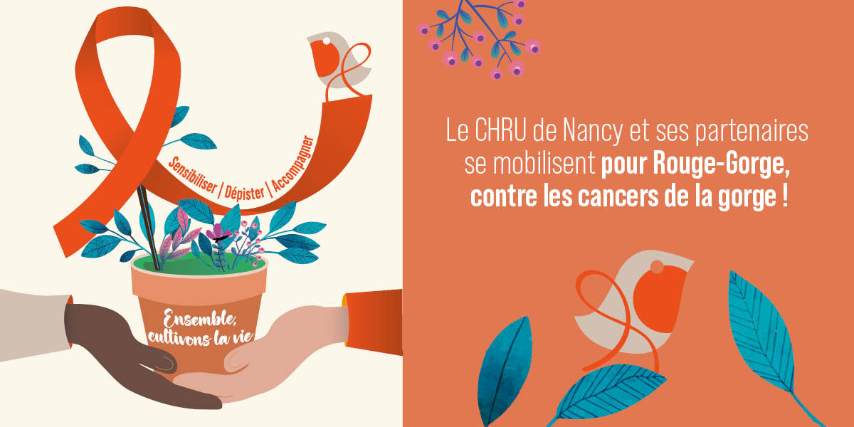 Rouge-gorge-ORL-Internet