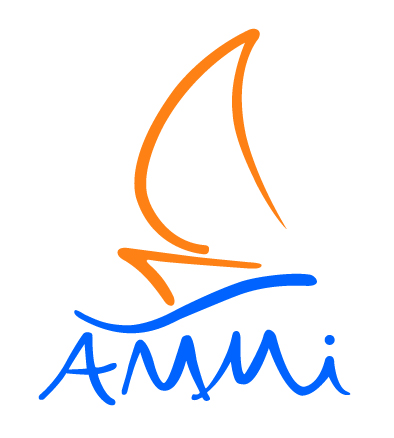 Logo AMMI