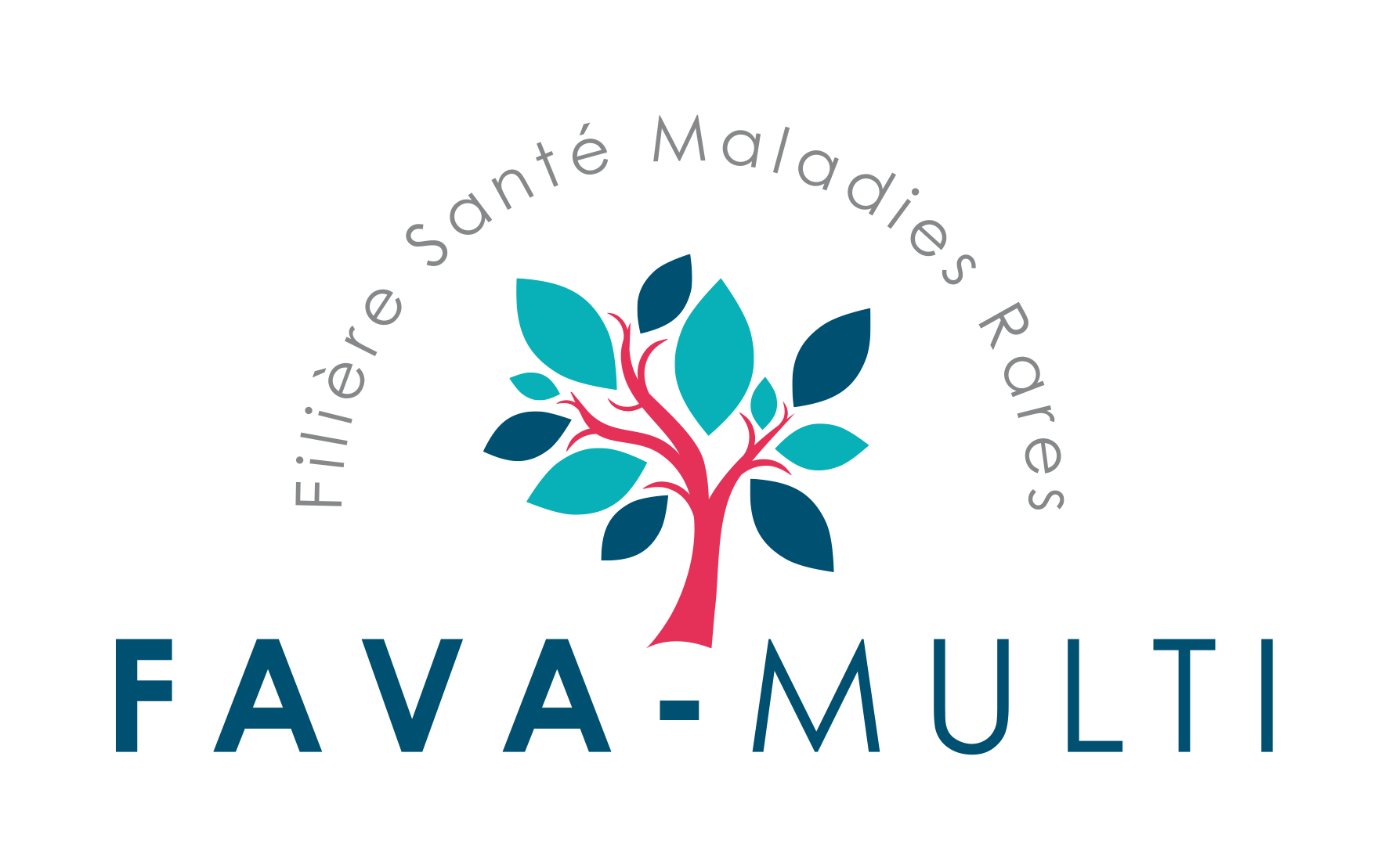 Logo Fava-Multi coul grand