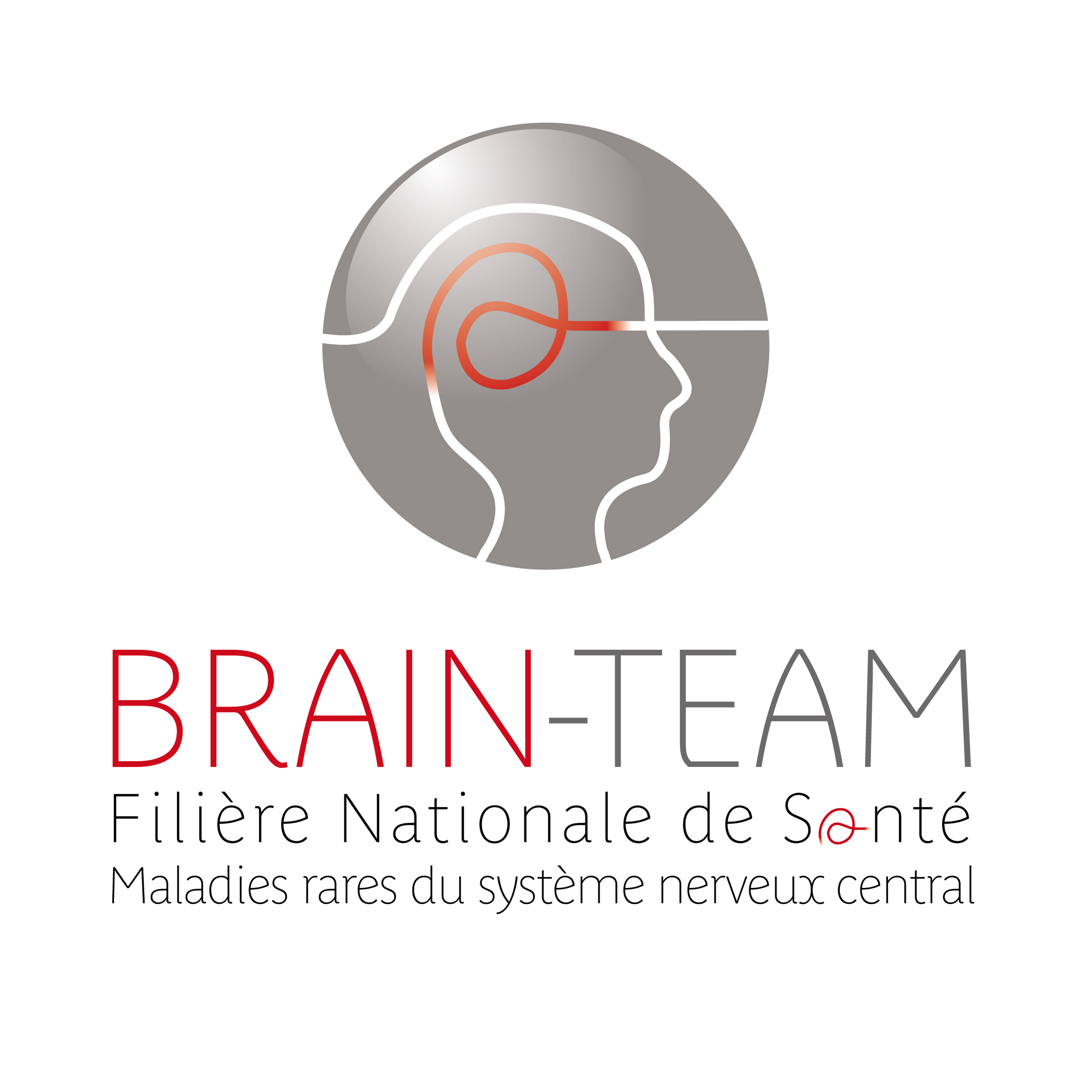 brain-team-HD