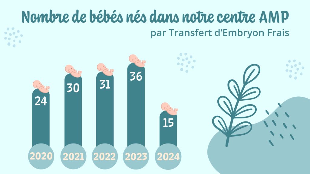 Graphique en barres. Nombre de bébés nés dans notre centre d'AMP par transfert d'embryon frais : 24 en 2020, 30 en 2021, 31 en 2022, 36 en 2023 et 15 en 2024.
