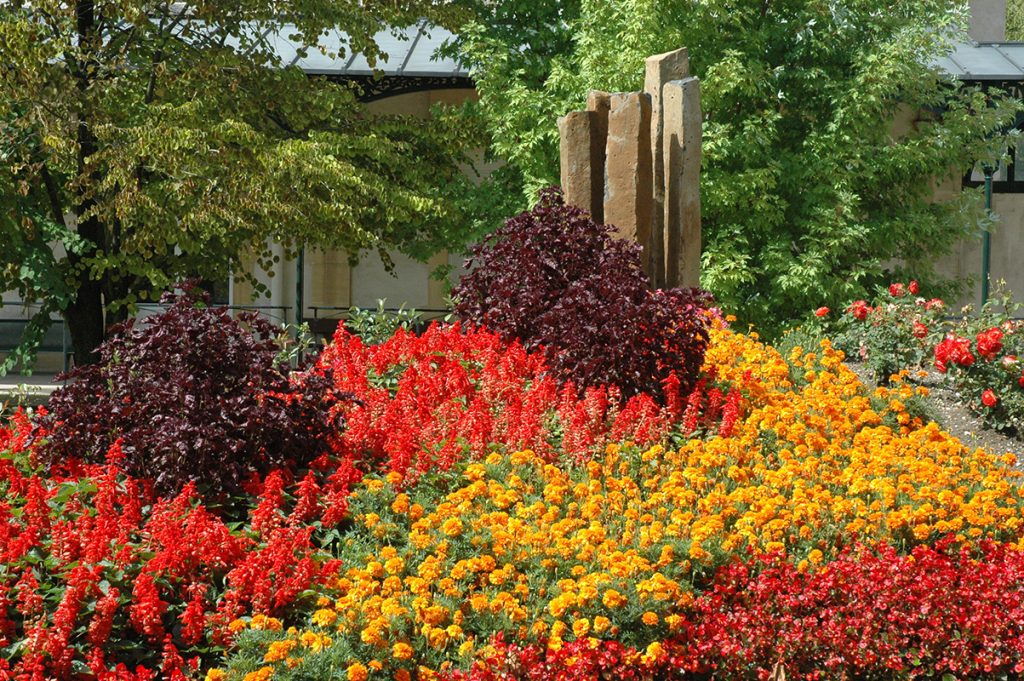 massif fleuri du jardin thérapeutique