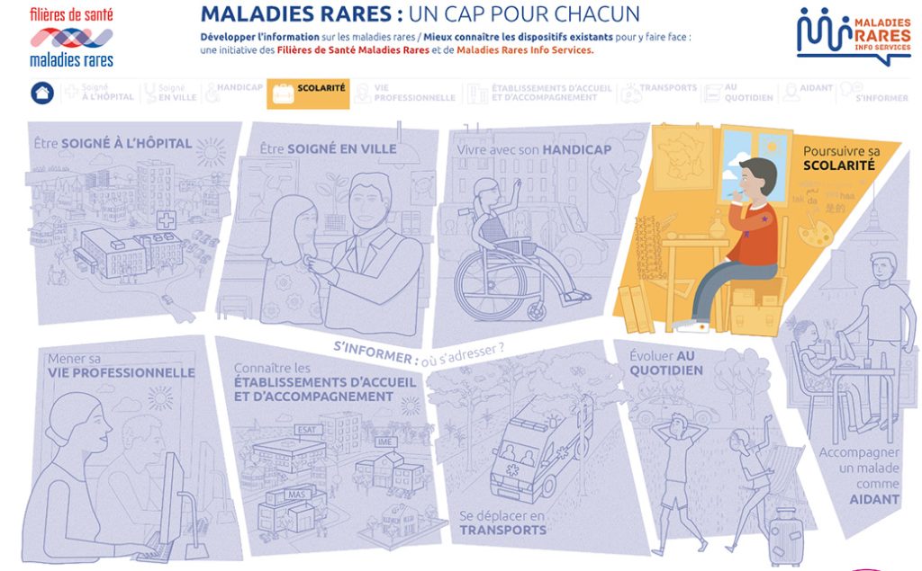 Infographie illustrant toutes les thématiques du site internet maladies rares info