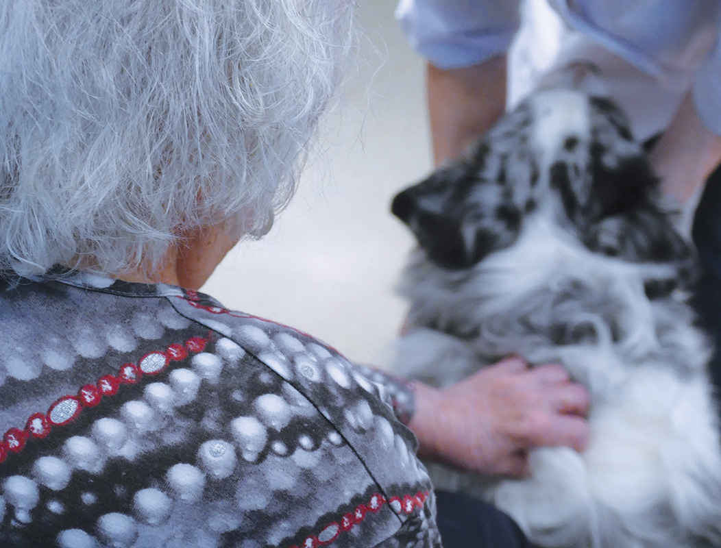 personne âgée qui caresse un chien