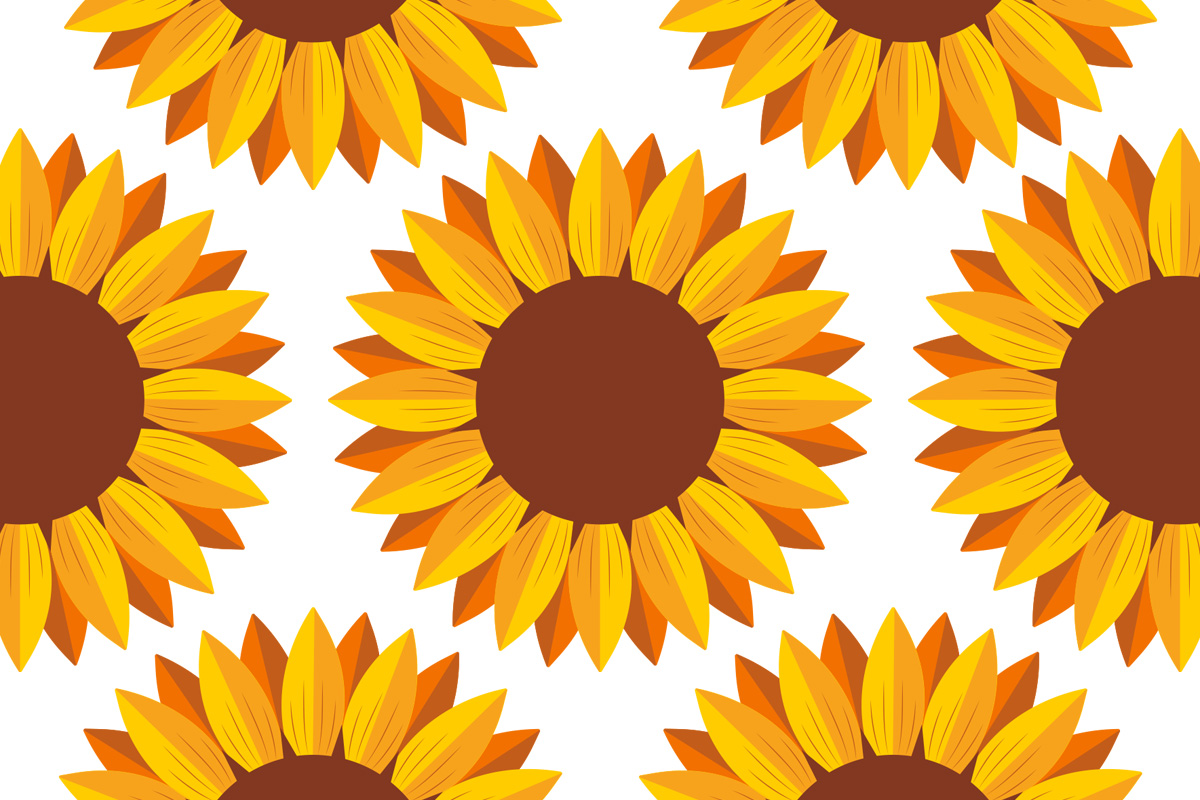 tournesol, symbole de la sclérodermie systémique