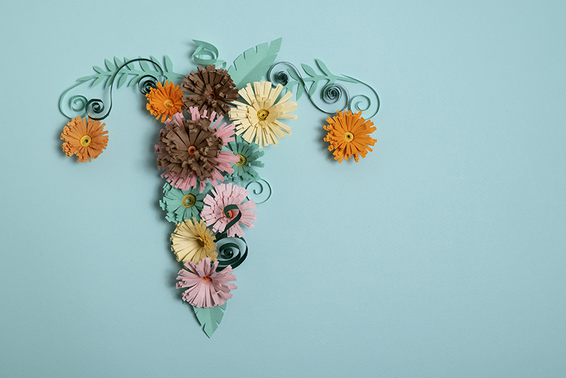 utérus fleuri en papier