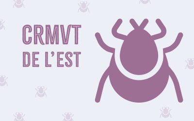 Webinaire du CRMVT