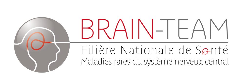 Logo Brain Team