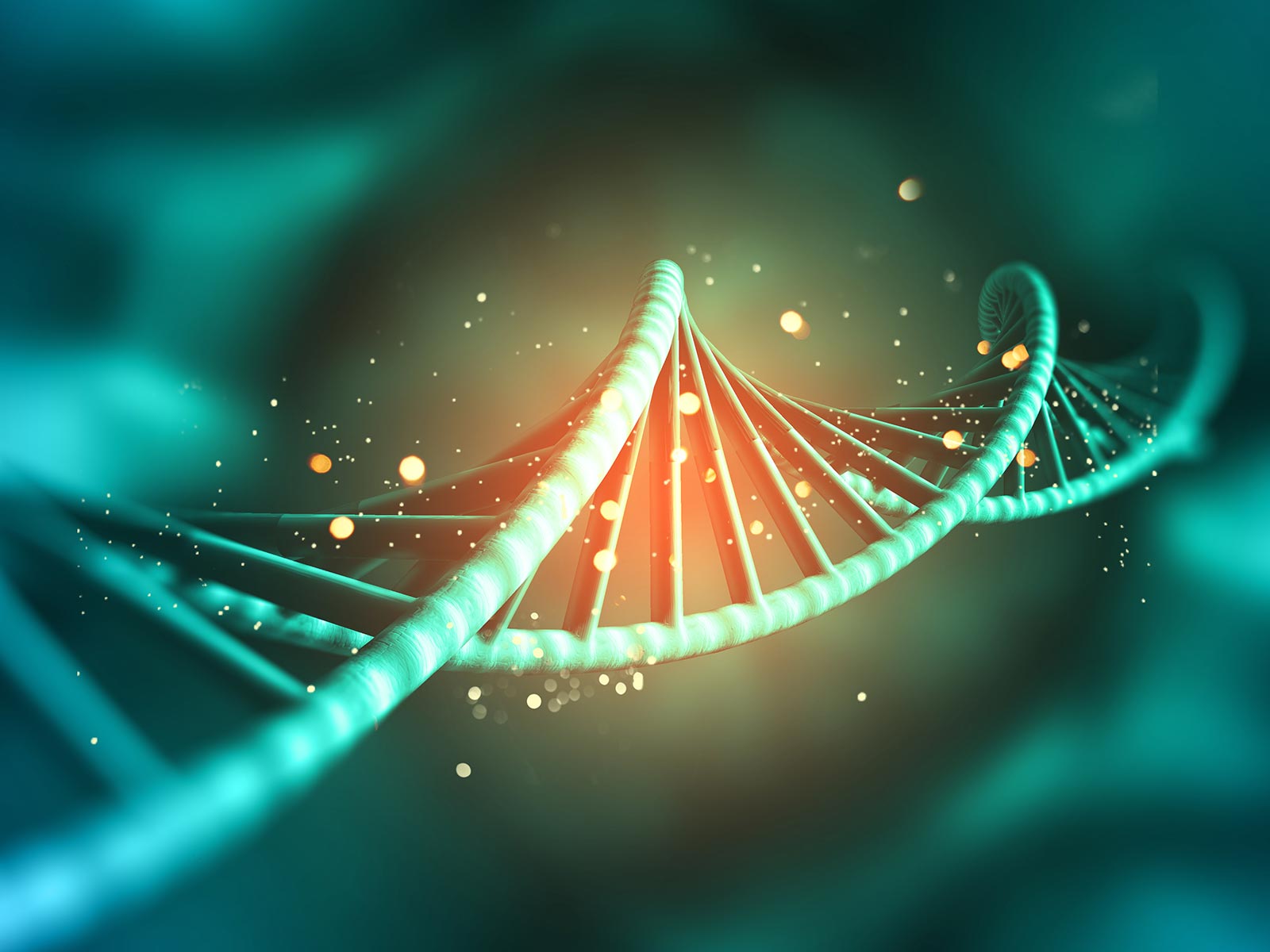 ADN neurogénétique